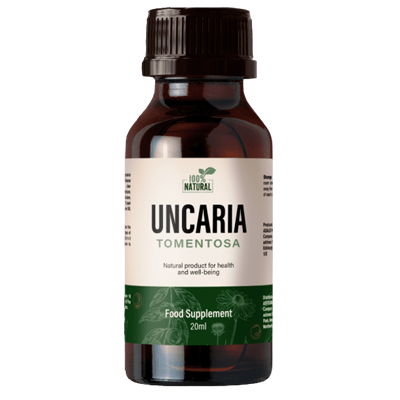 Uncaria